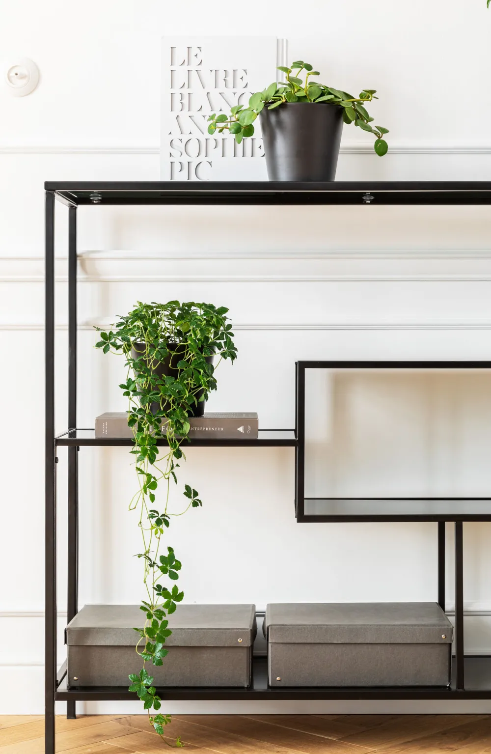 KARE Regal Loft Schwarz 115x100cm Online