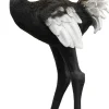 KARE Stehleuchte Animal Ostrich 147cm Online