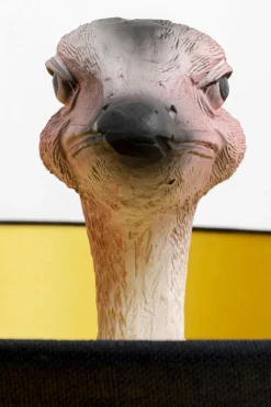 KARE Stehleuchte Animal Ostrich 147cm Online