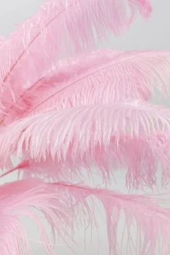 KARE Stehleuchte Feather Palm Pink 165cm Outlet