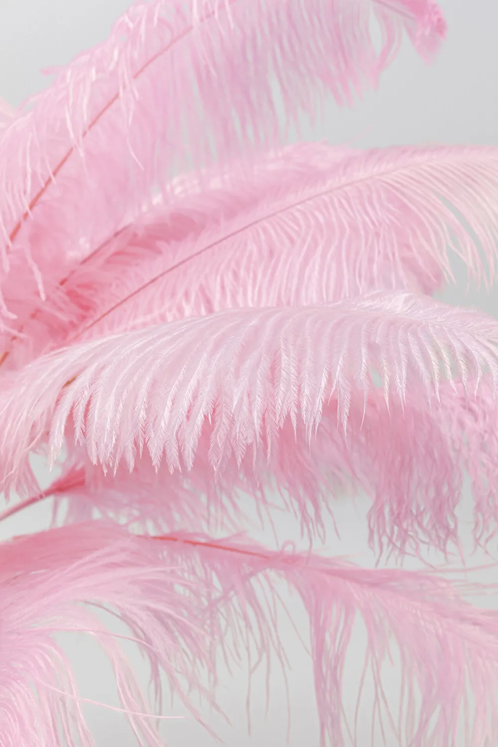 KARE Stehleuchte Feather Palm Pink 165cm Outlet