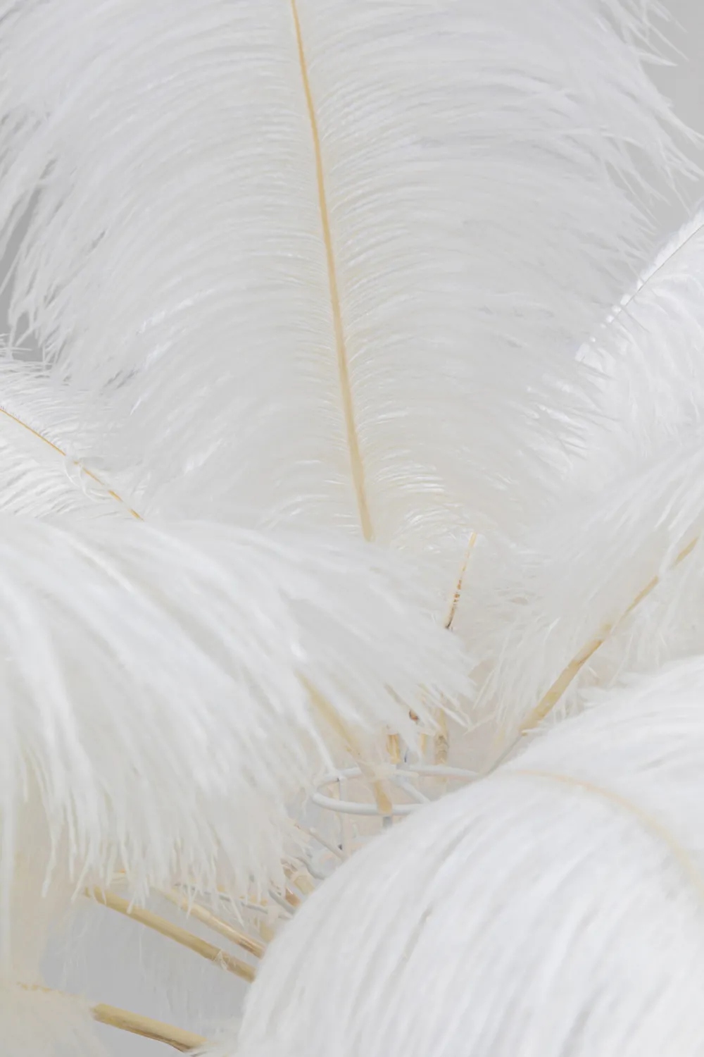 KARE Stehleuchte Feather Palm Weiß 165cm Hot