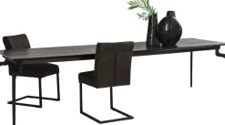 KARE Tisch Bug 200x90cm