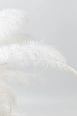 KARE Tischleuchte Feather Palm Weiß 60cm Sale