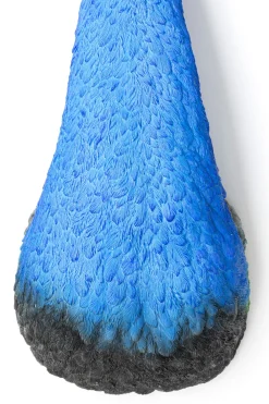 KARE Wandschmuck Peacock Clearance